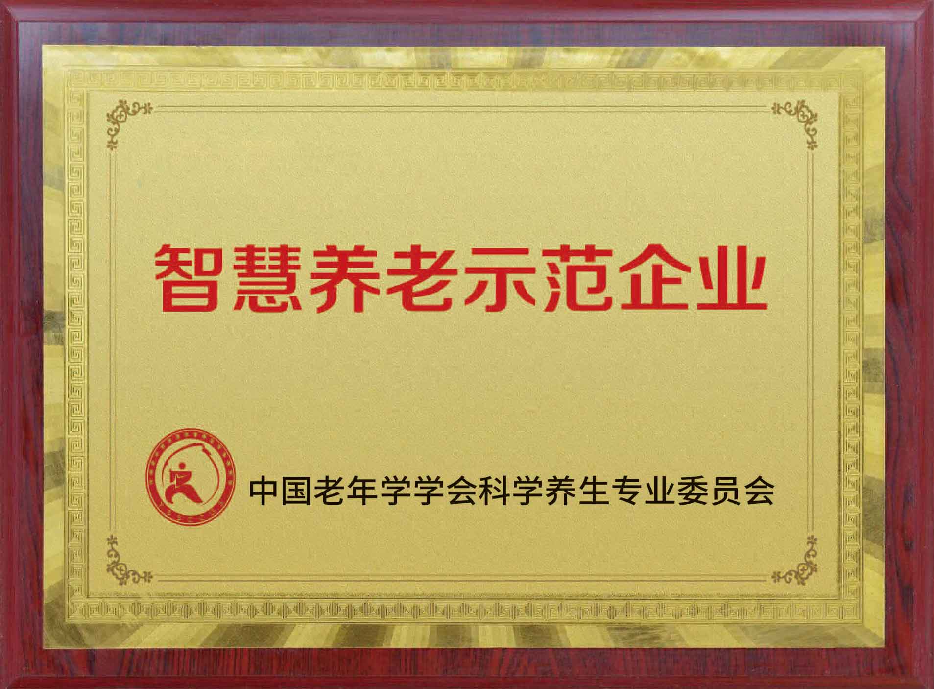 智慧养老示范企业